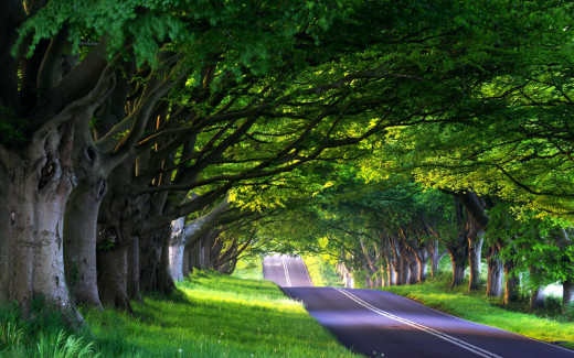 509506 (a): :2560x1600